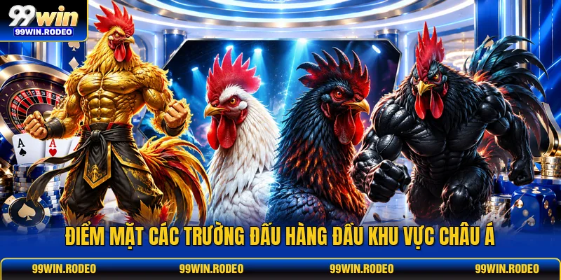 Điểm mặt các trường đấu hàng đầu khu vực châu Á Điểm mặt các trường đấu hàng đầu khu vực châu Á