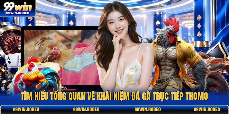 Tìm hiểu tổng quan về khái niệm Đá gà trực tiếp Thomo Tìm hiểu tổng quan về khái niệm Đá gà trực tiếp Thomo